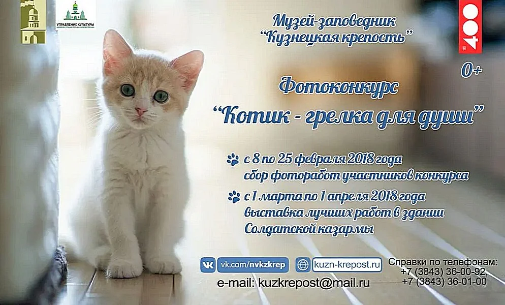 «Котик – грелка для души». Фотоконкурс, посвященный международному дню кошек. 8-25 февраля 2018 года